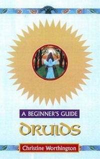 Abbildung von: Druids - John Murray Learning