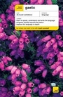 Cover: Gaelic - Teach Yourself Books