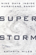 Cover: Superstorm - Dutton
