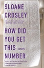 Cover: How Did You Get This Number - Riverhead Books