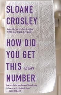 Enlarge image Cover: How Did You Get This Number - Riverhead Books