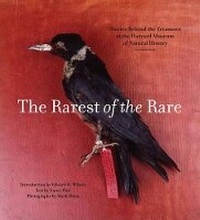 Abbildung von: Rarest of the Rare: The Stories Behind the Harvard Museum of Natural History - Scala Arts & Heritage Publishers Ltd
