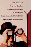Cover: Wie kommt die Welt in den Kopf? - Rowohlt Taschenbuch