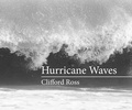 Cover: Hurricane Waves - MIT Press