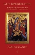 Cover: Why Resurrection - Lutterworth Press