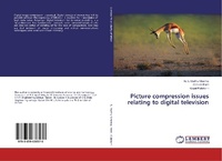 Enlarge image Cover: Picture compression issues relating to digital television - LAP Lambert Academic Publishing