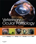 Bild: Veterinary Ocular Pathology - Elsevier