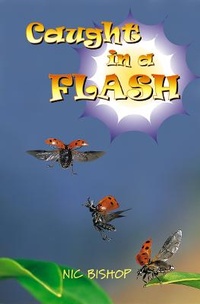 Enlarge image Cover: Caught in a Flash - Collins Educational