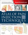 Cover: Atlas of Pain Injection Techniques - Churchill Livingstone