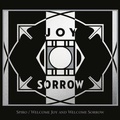 Cover: Welcome Joy And Welcome Sorrow - Integral