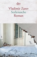 Cover: Seelenasche - dtv