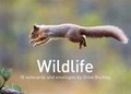 Cover: Wildlife by Drew Buckley - 10 Notecards and Envelopes - Graffeg Limited