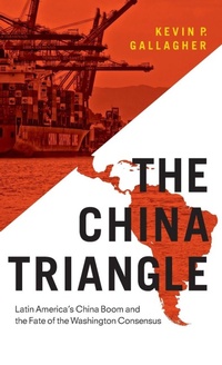 Enlarge image Cover: The China Triangle - Oxford University Press Inc