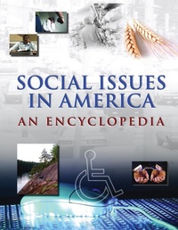 Enlarge image Cover: Social Issues in America - Routledge
