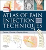Cover: Atlas of Pain Injection Techniques E-Book - Churchill Livingstone