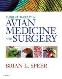 Abbildung von: Current Therapy in Avian Medicine and Surgery - Saunders