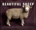 Cover: Beautiful Sheep - Frances Lincoln