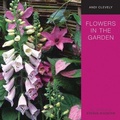 Cover: Flowers in the Garden - Frances Lincoln