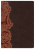 Cover: Study Bible Personal Size - Broadman & Holman Publishers