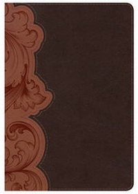 Enlarge image Cover: Study Bible Personal Size - Broadman & Holman Publishers