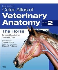 Abbildung von: Color Atlas of Veterinary Anatomy, Volume 2, The Horse - Mosby