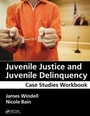 Cover: Juvenile Justice and Juvenile Delinquency - Routledge
