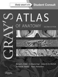 Abbildung von: Gray's Atlas of Anatomy E-Book - Churchill Livingstone