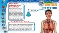 Cover: Water Wise - Weldon Owen Education Ltd