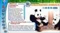 Cover: Wild Planet - Weldon Owen Education Ltd