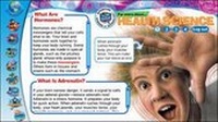 Enlarge image Cover: Cell City - Weldon Owen Education Ltd