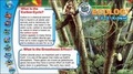 Cover: The Green Scene - Weldon Owen Education Ltd