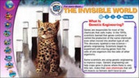 Enlarge image Cover: The Invisible World - Weldon Owen Education Ltd