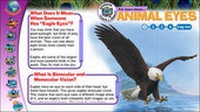 Enlarge image Cover: Shifting Perspectives - Weldon Owen Education Ltd
