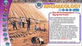 Cover: Digging for History - Weldon Owen Education Ltd