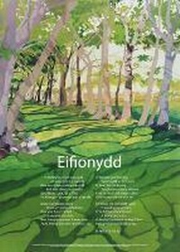 Enlarge image Cover: Eifionydd - Graffeg Limited