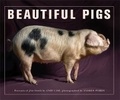 Cover: Beautiful Pigs - Frances Lincoln