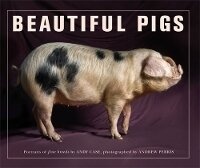 Abbildung von: Beautiful Pigs - Frances Lincoln