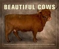 Cover: Beautiful Cows - Frances Lincoln