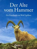 Cover: Der Alte vom Hammer - EDITION digital