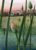 Cover: Emily Allchurch - Manchester City Art Galleries