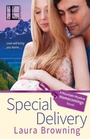 Cover: Special Delivery - Lyrical Press Inc