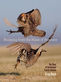 Cover: Booming from the Mists of Nowhere - University of Iowa Press