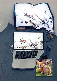 Enlarge image Cover: Ian Cheng. Live Simulations - Spector Books