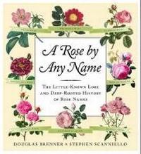 Enlarge image Cover: Rose By Any Name - Robert Hale Ltd