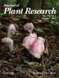 Bild: Journal of Plant Research - Springer