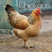 Abbildung von: Chickens Calendar 2016 - Avonside Publishing Ltd
