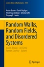 Cover: Random Walks, Random Fields, and Disordered Systems - Springer