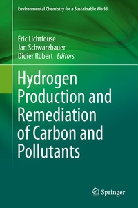 Abbildung von: Hydrogen Production and Remediation of Carbon and Pollutants - Springer