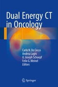 Cover: Dual Energy CT in Oncology - Springer
