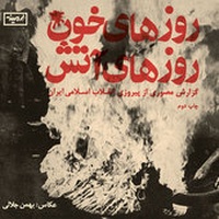 Abbildung von: Jalali: Days of Blood, Days of Fire - Spector Books